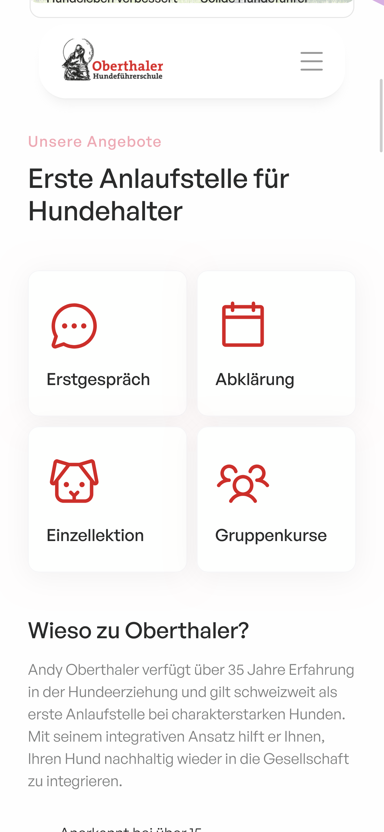 Project screenshot