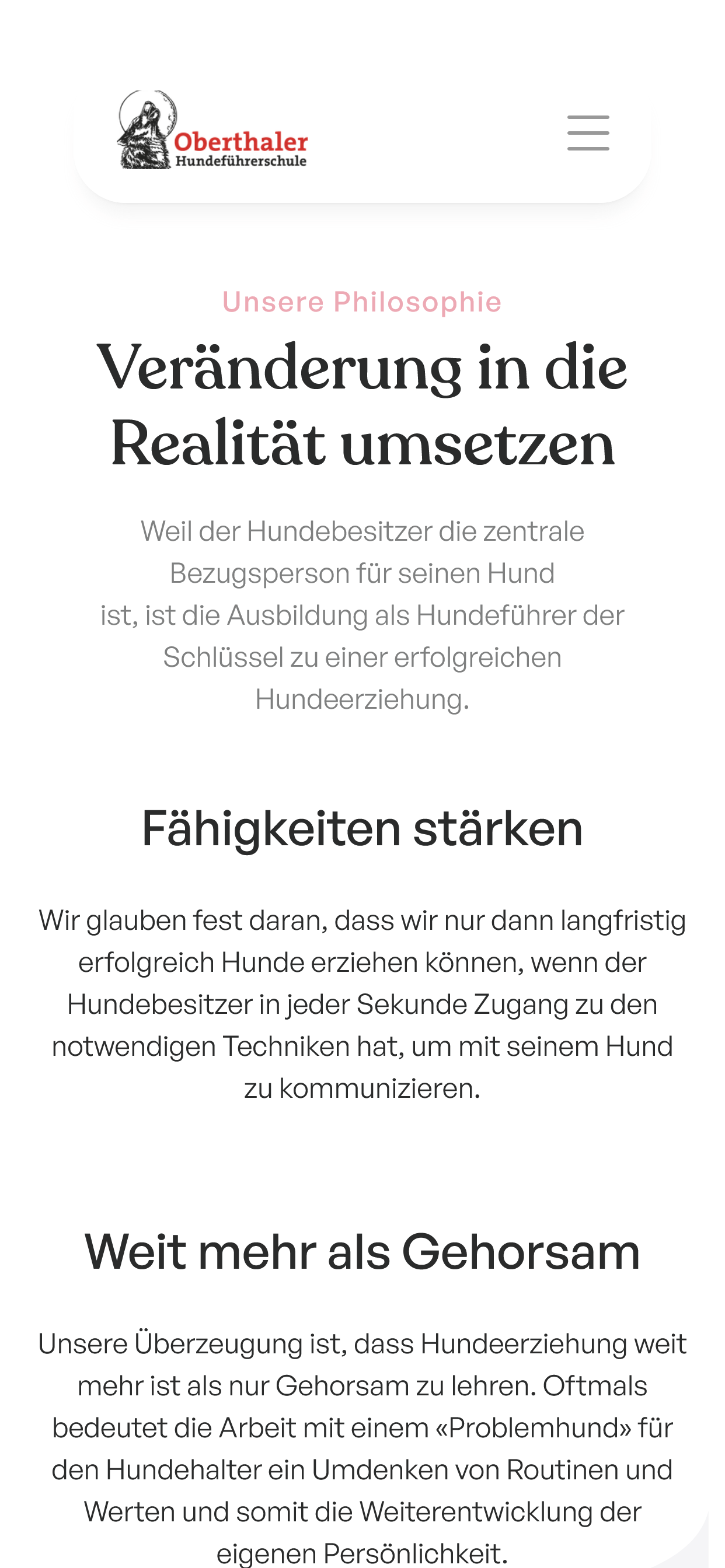 Project screenshot